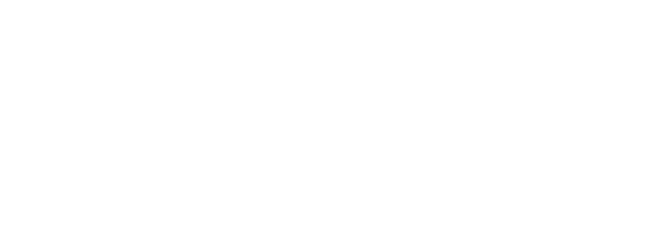 mailchimp partner