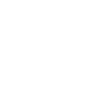 Bavius Boekhouden