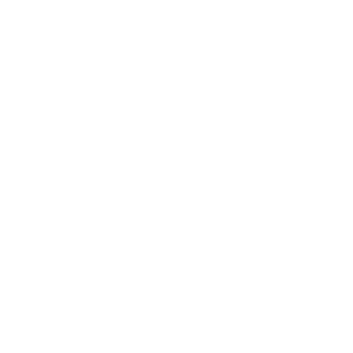 Bavius Boekhouden