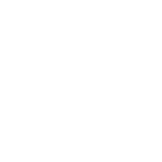 Premium Flowers