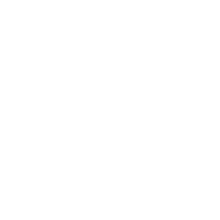 ScamiloN