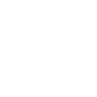 Voort Chrysanten