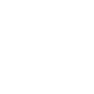 Zorgvoorbeleid